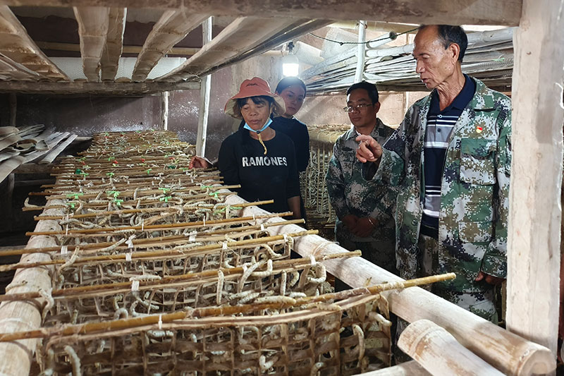 见证一个村庄的“蝶变”升级尊龙凯时网站“三色渐变墙”(图5)